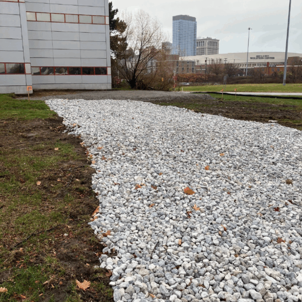 Progress Photos Week of 11-24-25-10