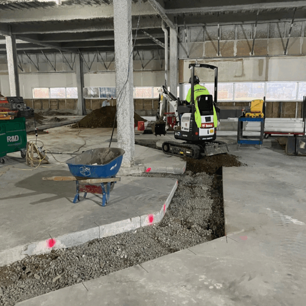 Progress Photos Week of 11-24-25-2