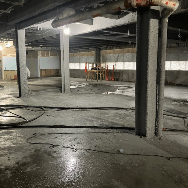 Progress Photos Week of 11-24-25-7