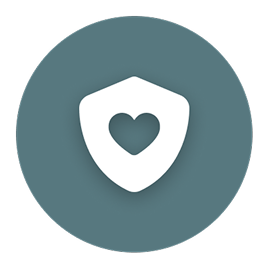 Heart Shield Icon